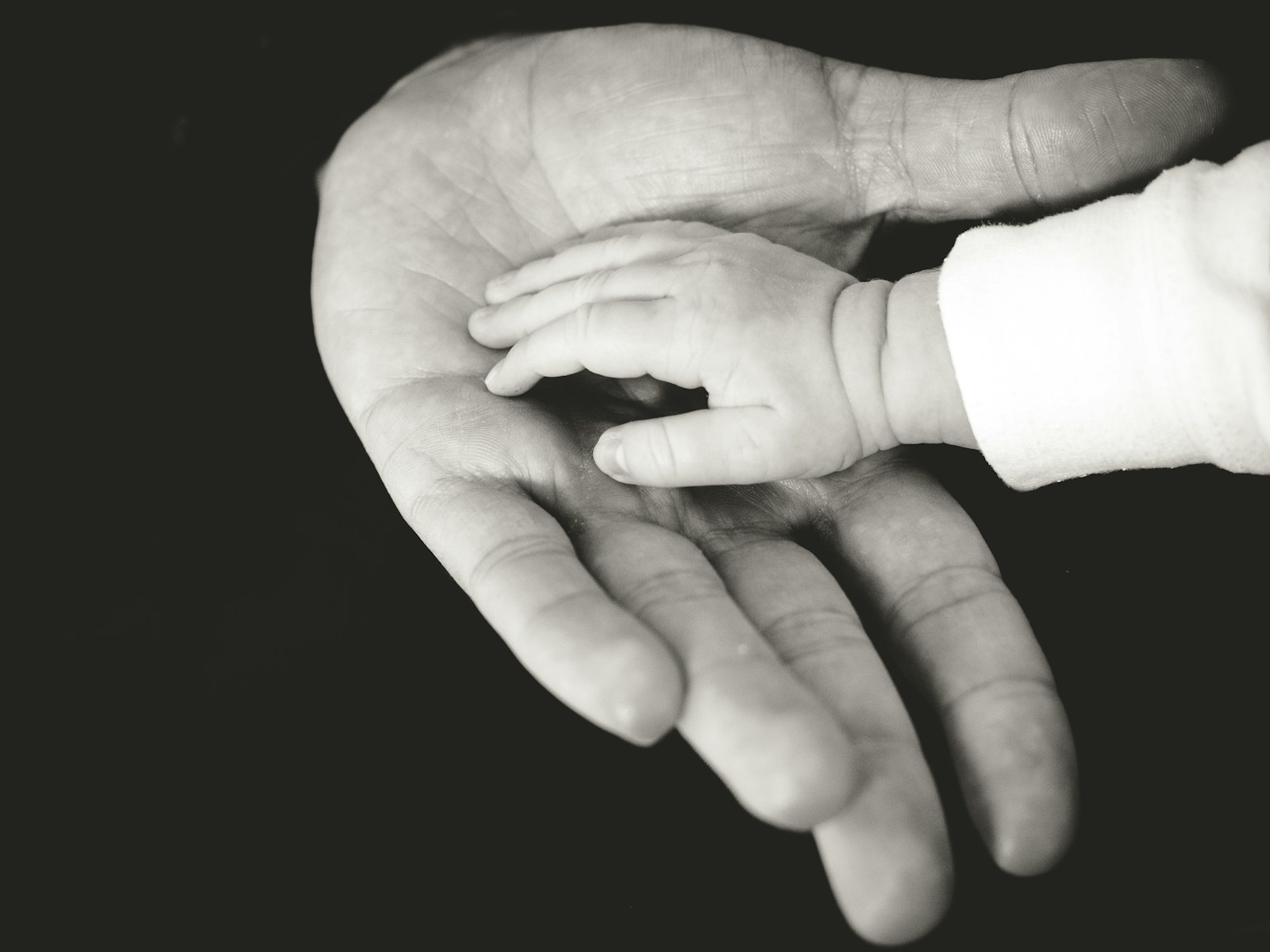 child and parent hands photography symbolizing life insurance beneficiary